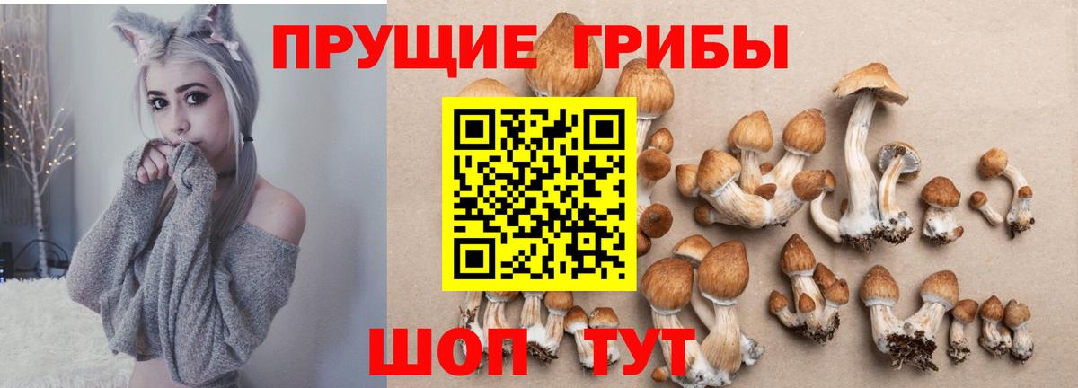 Галлюциногенные грибы мицелий  Вход с VPN  Кубинка 